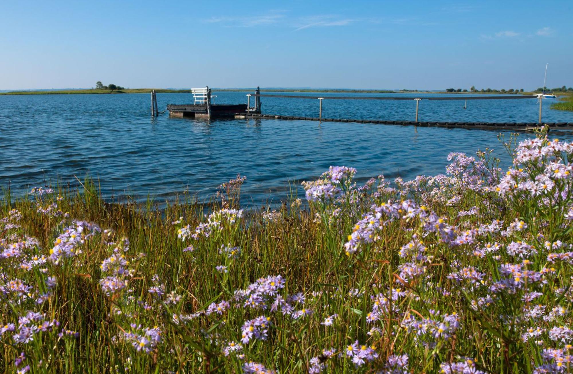 Ostsee Residenz Meeresblick Bellevue Insel Poel Exteriér fotografie