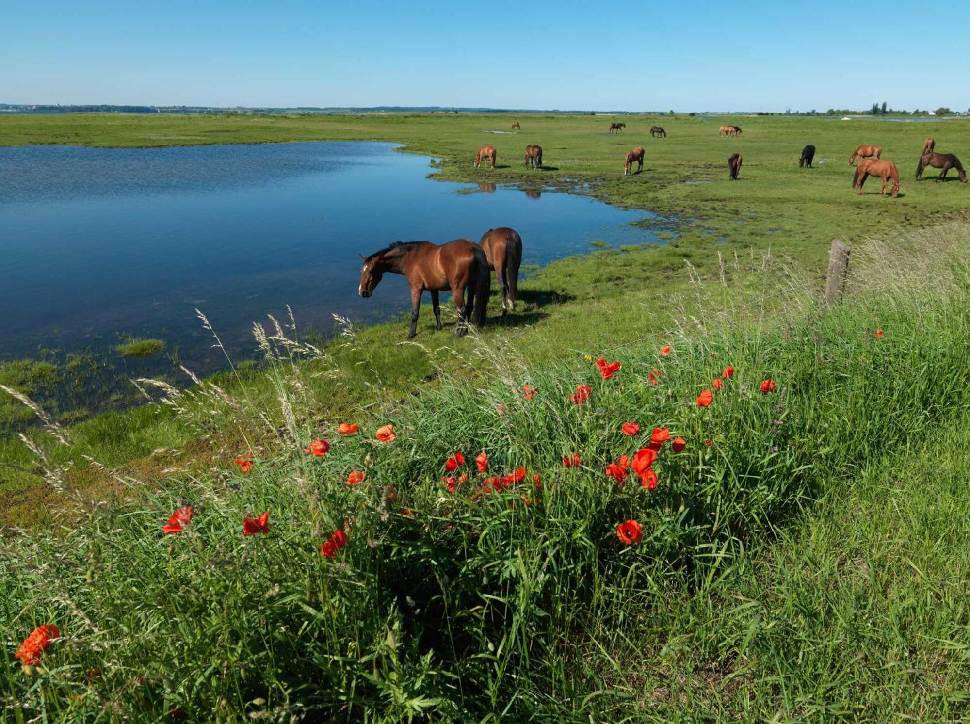 Ostsee Residenz Meeresblick Bellevue Insel Poel Exteriér fotografie