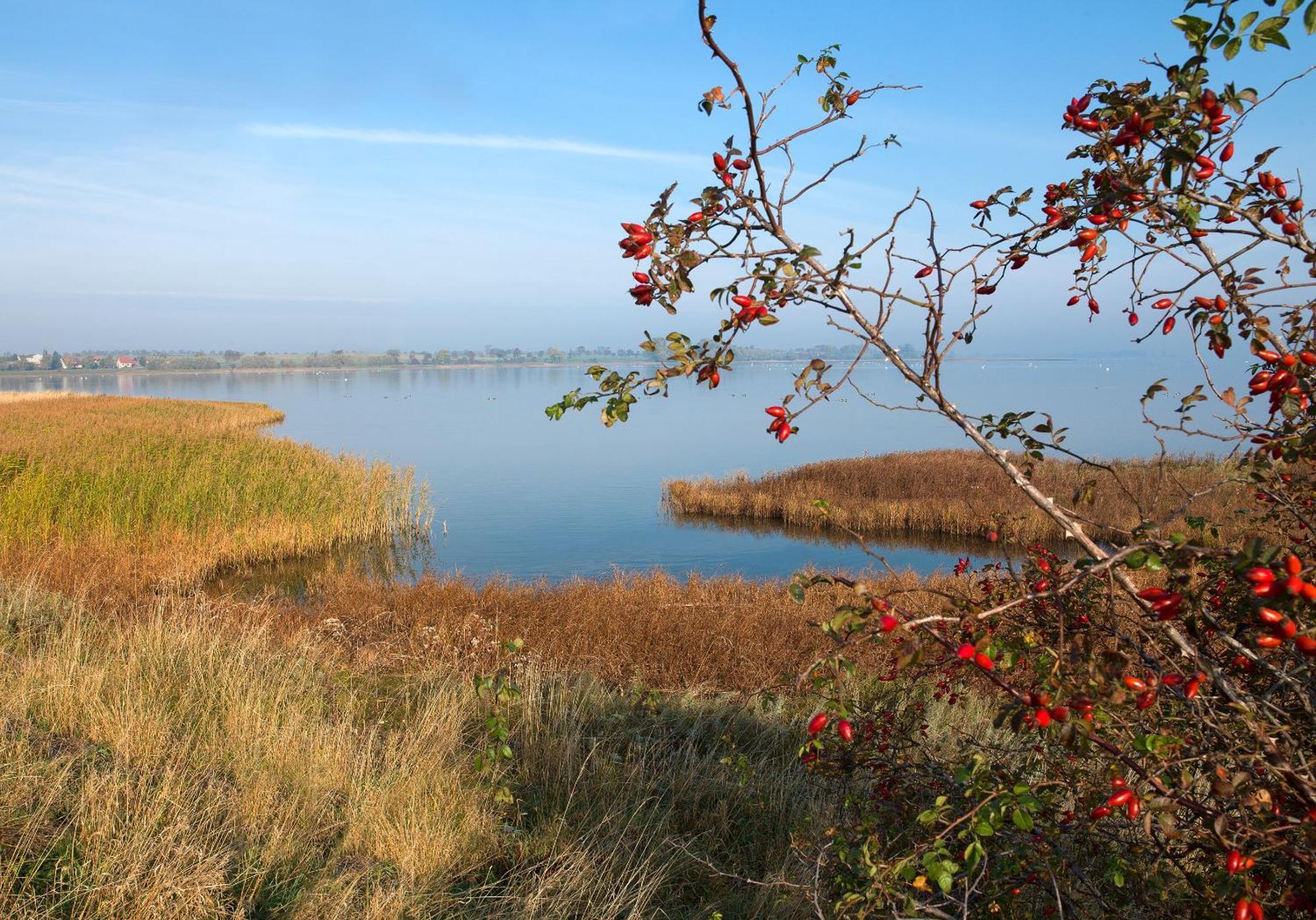Ostsee Residenz Meeresblick Bellevue Insel Poel Exteriér fotografie